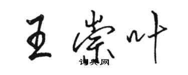 駱恆光王崇葉行書個性簽名怎么寫