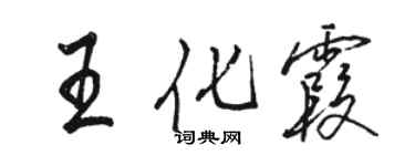 駱恆光王化霞行書個性簽名怎么寫