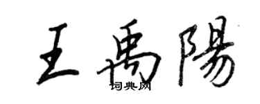 王正良王禹陽行書個性簽名怎么寫