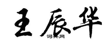 胡問遂王辰華行書個性簽名怎么寫