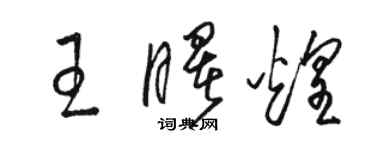 駱恆光王曙煌草書個性簽名怎么寫