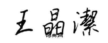 王正良王晶潔行書個性簽名怎么寫