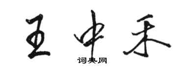 駱恆光王中禾行書個性簽名怎么寫