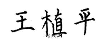 何伯昌王植平楷書個性簽名怎么寫