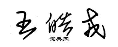 朱錫榮王皓戎草書個性簽名怎么寫