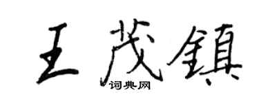 王正良王茂鎮行書個性簽名怎么寫
