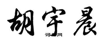 胡問遂胡宇晨行書個性簽名怎么寫