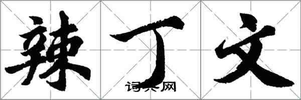 胡問遂辣丁文行書怎么寫