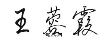 駱恆光王蓉霞行書個性簽名怎么寫