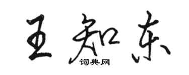 駱恆光王知東行書個性簽名怎么寫