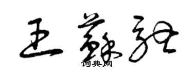 曾慶福王蘇馳草書個性簽名怎么寫