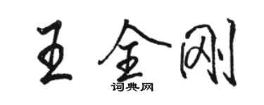 駱恆光王全剛行書個性簽名怎么寫