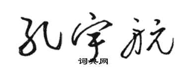 駱恆光孔宇航草書個性簽名怎么寫