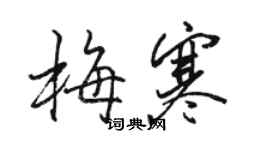 駱恆光梅寒行書個性簽名怎么寫