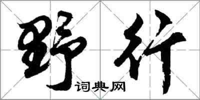 胡問遂野行行書怎么寫