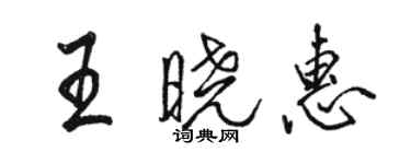 駱恆光王曉惠行書個性簽名怎么寫