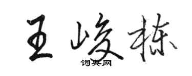 駱恆光王峻棟行書個性簽名怎么寫