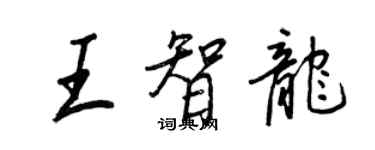 王正良王智龍行書個性簽名怎么寫