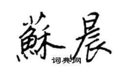 王正良蘇晨行書個性簽名怎么寫