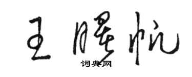 駱恆光王曙帆草書個性簽名怎么寫