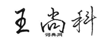 駱恆光王尚科行書個性簽名怎么寫