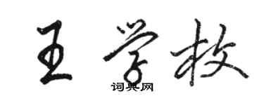 駱恆光王學枚行書個性簽名怎么寫