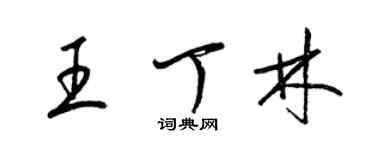 梁錦英王丁林草書個性簽名怎么寫