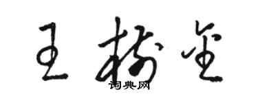 駱恆光王樹金草書個性簽名怎么寫