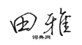 駱恆光田雅行書個性簽名怎么寫