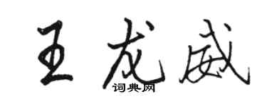 駱恆光王龍威行書個性簽名怎么寫