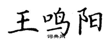 丁謙王鳴陽楷書個性簽名怎么寫