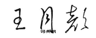 駱恆光王月顏草書個性簽名怎么寫