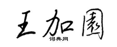 王正良王加園行書個性簽名怎么寫