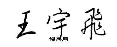王正良王宇飛行書個性簽名怎么寫