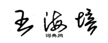 朱錫榮王海培草書個性簽名怎么寫