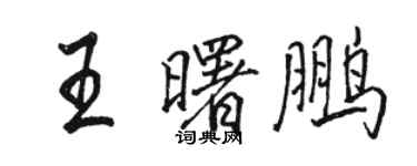 駱恆光王曙鵬行書個性簽名怎么寫