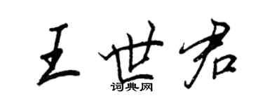 王正良王世君行書個性簽名怎么寫