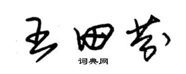 朱錫榮王田芬草書個性簽名怎么寫