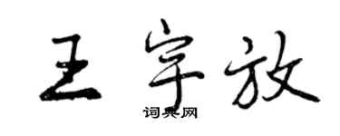 曾慶福王宇放行書個性簽名怎么寫