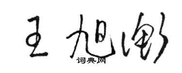 駱恆光王旭衡草書個性簽名怎么寫