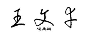 梁錦英王文幸草書個性簽名怎么寫