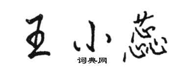 駱恆光王小蕊行書個性簽名怎么寫