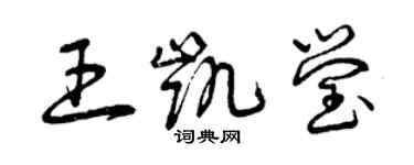 曾慶福王凱瑩草書個性簽名怎么寫