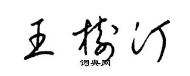 梁錦英王樹汀草書個性簽名怎么寫