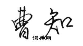 駱恆光曹知行書個性簽名怎么寫