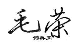 駱恆光毛榮行書個性簽名怎么寫