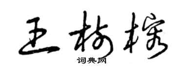 曾慶福王樹榕草書個性簽名怎么寫