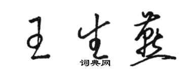 駱恆光王生燕草書個性簽名怎么寫