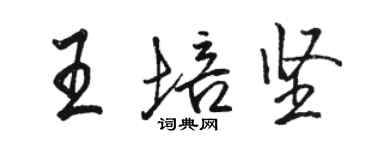 駱恆光王培堅行書個性簽名怎么寫