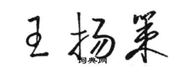 駱恆光王揚策草書個性簽名怎么寫
